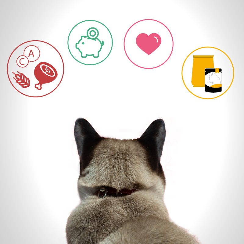 Как выбрать корм для кошки - MY X-PET