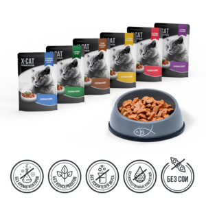 Курица и телятина