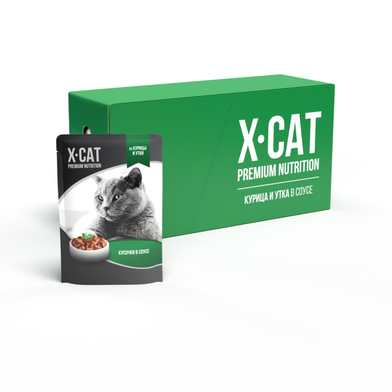 Курица и утка